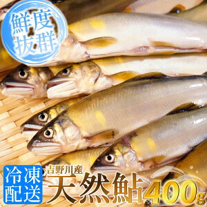 �y�ӂ邳�Ɣ[�Łz��s�\�� 2026�N8���` �� �V�R ���� 400g 800g �g���Y �g��� ���� �ނ舼 �ނ� �A�� �� ���� �싛 ���Ă� �A�E�g�h�A �o�[�x�L���[ BBQ �L�����v ���Y �� �r�[�� ���܂� �ٓ� 