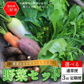 【ふるさと納税】 野菜 詰め合わせ おまかせ セット 3～4種 旬の野菜 1回便 定期便 スイートコーン とうもろこし じゃがいも 玉ねぎ さつまいも すいか やさい サラダ 鍋 煮物 スムージー 野菜ジュース おでん 新鮮 徳島県産 送料無料 徳島県 三好市 みよし 篠原農園