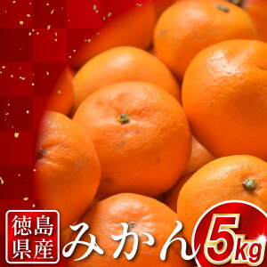 yӂ邳Ɣ[Łz ݂ 5kg {쑁 ͂Ђ Ƃ  k t[c ʕ IWW[X fU[g P[L ACX Ⓚ݂ V[xbg [[ XC[c َq Mtg 