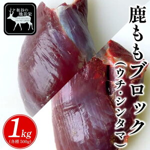 yӂ邳Ɣ[Łz WrG  Y  ubN 500g ` 1kg   E` V^} c   I wV[ J[ ς ᎉ ē Ă BBQ Xe[L [Xg VJ VJ