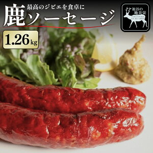 yӂ邳Ɣ[Łz \[Z[W  Y 420g ` 1260g  ECi[ 3{ WrG wV[ J[ ς ᎉ W[V[ BBQ o[xL[ Ă ē VJ r[ C  