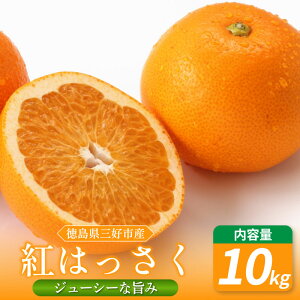 yӂ邳Ɣ[Łz ݂ ͂ 10kg s\  Y g g͂  k ~J IW ʌ Yi Ԍ  t[c ʕ IWW[X  fU[g 