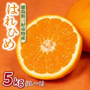 yӂ邳Ɣ[Łz ݂ 5kg ͂Ђ ʌ  k ~J Y Yn Yi Ԍ  O mikan t[c ʕ k W[X XC[c  fU[g   O
