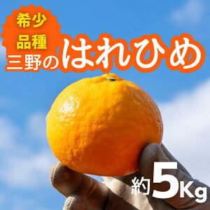 yӂ邳Ɣ[Łz ݂ 5kg ( 2L ` 3L 35 O )  k ͂Ђ IW Y ʌ Yi Ԍ  O t[c ʕ ݂W[X IWW[X Ⓚ݂ W[