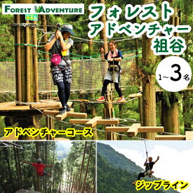 【ふるさと納税】 徳島県 旅行 クーポン 体験チケット 旅行券 感謝券 ジップライン アクティビティ 遊ぶ 体験 三好市 みよし 観光 トラベル チケット クーポン 夏休み 自然 アスレチック 子供 家族連れ 商品券 施設利用券 フォレストアドベンチャー祖谷 アドベンチャーコース