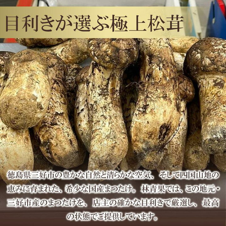楽天市場】【ふるさと納税】 松茸 200g 天然 希少 まつたけ マツタケ 