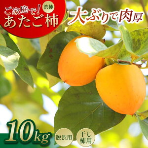 yӂ邳Ɣ[Łz ` a`  5kg ` 10kg 15 ` 40 a` ` p ` ` JL 15 ` 20 Y t[c ʕ ʎ ` H Â  { Ea ƒ lC IXX 