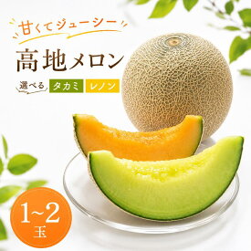 【ふるさと納税】 メロン 先行予約 1玉 2玉 選べる品種 赤肉 青肉 化粧箱 徳島県産 フルーツ 果物 旬 季節 厳選 高級 人気 デザート ギフト プレゼント 贈答 送料無料 レノンウェーブ タカミ ナポリ 赤肉メロン 青肉メロン 徳島県 三好市 みよし 三好野呂内野菜生産加工組合