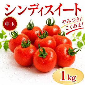 【ふるさと納税】 トマト シンディスイート 選べる 1kg 2kg 甘い 完熟 新鮮 産地直送 トマト フレッシュ 中玉トマト ミニトマト プチトマト フルーツトマト 家庭用 贈答用 お取り寄せ サラダ スープ パスタ こだわり栽培 野菜セット 送料無料 みよし 徳島県 三好市