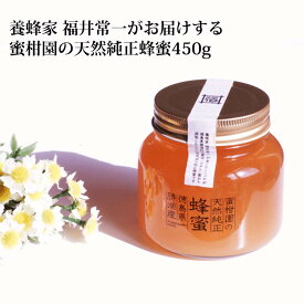 【ふるさと納税】蜜柑園の天然純正蜂蜜 450g