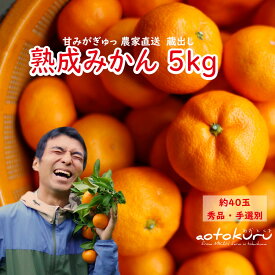 【ふるさと納税】 あおとくる 蔵出し熟成みかん 5kg 40玉前後 サイズ混合