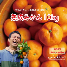 【ふるさと納税】 あおとくる 蔵出し熟成みかん 10kg 80玉前後 サイズ混合