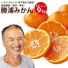 【ふるさと納税】長田農園 早生みかん 秀品 LLサイズ 9kg