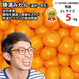 【ふるさと納税】谷内青果 特選 早生みかん 秀品 S-Lサイズ 5kg