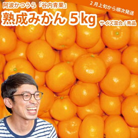 【ふるさと納税】谷内青果 熟成みかん 秀品 サイズ混合 5kg