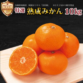 【ふるさと納税】金星園 特選 熟成みかん 秀品 S-LLサイズ 10kg