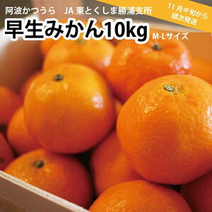 yӂ邳Ɣ[Łz JAƂ Y݂ 10kg M-LTCY Di