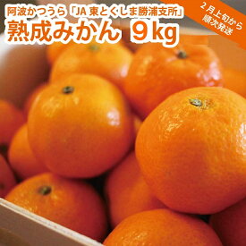 【ふるさと納税】JA東とくしま 勝浦熟成みかん 9kg 大玉サイズ 優品
