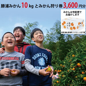 yӂ邳Ɣ[ŁzpCbg Y݂ 10kg{݂茔 3600~