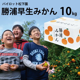 【ふるさと納税】パイロット松下園 勝浦早生みかん SーLサイズ 秀品 10kg