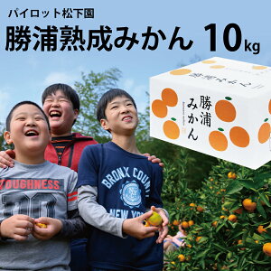 �y�ӂ邳�Ɣ[�Łz�p�C���b�g������ ���Y�n���݂��� S-L�T�C�Y �G�i 10kg