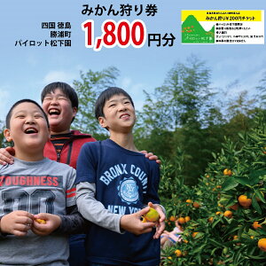 yӂ邳Ɣ[ŁzpCbg ݂茔 1800~