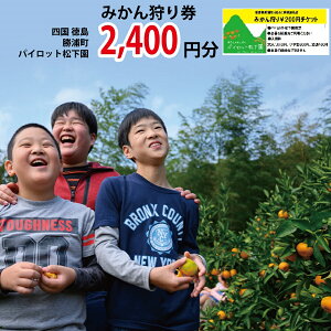 yӂ邳Ɣ[ŁzpCbg ݂茔 2400~