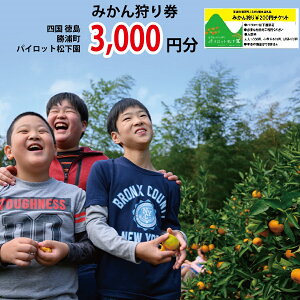 yӂ邳Ɣ[ŁzpCbg ݂茔 3000~