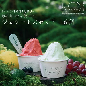 yӂ邳Ɣ[ŁzTONPUKUiƂՂj WF[gZbg 6