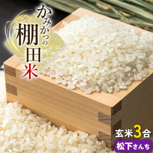 yӂ邳Ɣ[Łz݂IcÂ苦c  ݂̒Ic ^[pbNz e3s30ȓɏoח\(yj)t  ㏟ ӂ邳Ɣ[ 