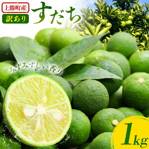 yӂ邳Ɣ[Łzs\ ㏟Y 󂠂  1kg ݂t@[ s9{-11{oׁt ㏟ ƒp  k Ă z hg 