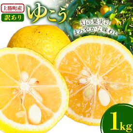 【ふるさと納税】訳あり 上勝町産 ゆこう 1kg みつるファーム 《11月上旬-12月上旬頃出荷》徳島県 上勝町 ゆこう 訳ありご家庭用 柑橘 幻の果実 柚香 送料無料