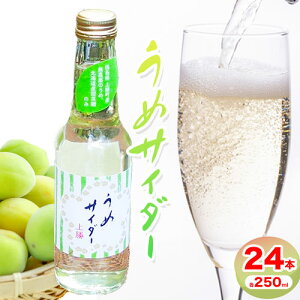 yӂ邳Ɣ[Łz߃TC_[ 24{ e250ml ʐHiO[v s30ȓɏoח\(yj)t  ㏟  ~  TC_[ ݕ W[X