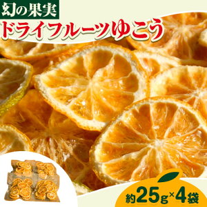 yӂ邳Ɣ[ŁzhCt[c 䂱 100g 25g × 4 e[s30ȓɏoח\iyjjt  ㏟ ̉ʎ M k Mq Y _ w엿 ʕ hC t