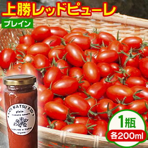 yӂ邳Ɣ[Łz ㏟bh s[ vC or ArA[^ Iׂ 1r 200ml NARUMIFARM s30ȓɏoח\(yj)tb s[ g}gs[ Ƃ܂ g}g  ₳ I[K