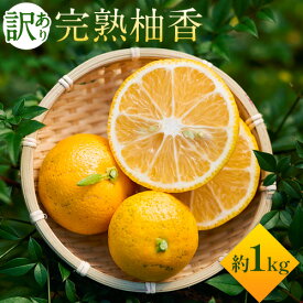 【ふるさと納税】 ＜ 予約受付 ＞ 訳あり 完熟柚香 ゆこう 約1kg シシトトラ《11月中旬-12月下旬頃出荷》 │ 徳島県 上勝町 幻の果物 柑橘 完熟 フルーツ