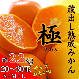 【ふるさと納税】蔵出し熟成みかん『極』《2月上旬-2月末頃出荷予定》みかん ミカン 蜜柑 mikan 貯蔵 温州 うんしゅう 晩成 柑橘 佐那河内 さなごうち 徳島県 箱入り 化粧箱 S M L フルーツ 果物 くだもの 贈答 進物