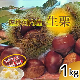 【ふるさと納税】【数量限定】佐那河内産　生栗1kg(サイズ混合)《10月中旬-10月末頃発送》