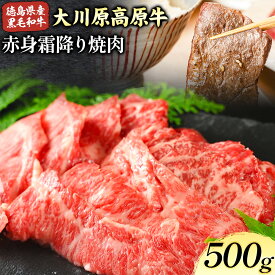 【ふるさと納税】大川原高原牛 赤身・霜降り焼肉用 500g or 1kg 肉の藤原《90日以内に出荷予定(土日祝除く)》│ 和牛 希少 大川原高原 牛肉 焼肉 赤身 贅沢 あっさり バーベキュー BBQ 弁当 冷凍 ギフト 贈答 徳島県 佐那河内村