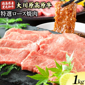 yӂ邳Ɣ[Łz쌴 I[X ē Iׂ e 500g or 1kg Ⓚ ̓s30ȓɏoח\(yj)ta  쌴  ē [X ґ o[xL[ BBQ L