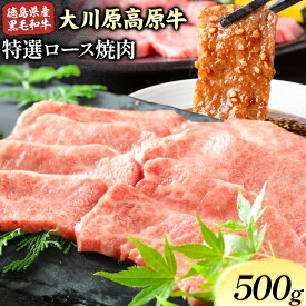 【ふるさと納税】大川原高原牛 特選ロース 焼肉 選べる 内容量 500g or 1kg 冷凍便 肉の藤原《30日以内に出荷予定(土日祝除く)》和牛 希少 大川原高原 牛肉 焼肉 ロース 贅沢 バーベキュー BBQ キャンプ ギフト 贈答 徳島県 佐那河内村