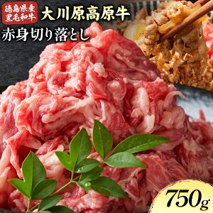 yӂ邳Ɣ[Łz쌴 Ԑg؂藎Ƃ 750g ̓s30ȓɏoח\(yj)t Ⓚ a  쌴  Ԑg ґ Ă  ٓ y Mtg  v[