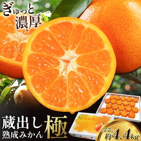 【ふるさと納税】＜先行予約＞ 蔵出し熟成みかん『極』1箱or2箱 《2月中旬-2月末頃出荷予定》みかん ミカン 蜜柑 mikan 貯蔵 柑橘 佐那河内 さなごうち 徳島県 箱入り 化粧箱 S M L フルーツ 果物 くだもの 贈答 進物