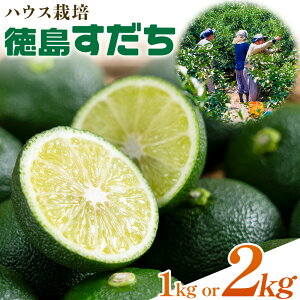 yӂ邳Ɣ[Łz s\  Yʓ{ Y nEX 1kg or 2kg s2026N6{-8{ɏoח\(yj)t  X_` In   z Ă VՂ hg 