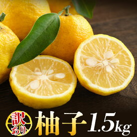 【ふるさと納税】ゆず 訳あり 柚子 約1.5kg 一般財団法人さなごうち《11月中旬-12月中旬頃発送》徳島県 佐那河内村 ゆず 柑橘 フルーツ 旬【配送不可地域あり】※離島