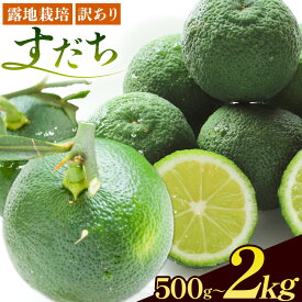 【ふるさと納税】＜2026年予約受付＞ 生産量日本一!! ちょっとキズでも香りは満点 徳島県産 訳ありすだち 《9月上旬-9月末頃に出荷予定(土日祝除く)》徳島県 佐那河内村 すだち サイズ不揃い B級すだち すだち キズあり すだち 不揃い