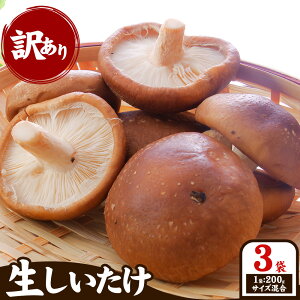 yӂ邳Ɣ[Łzw󂠂x 200g×3(TCY) yzsn悠z ʍc@lȂ s30ȓɏoח\(yj)t ő VC^P  Ԃ H