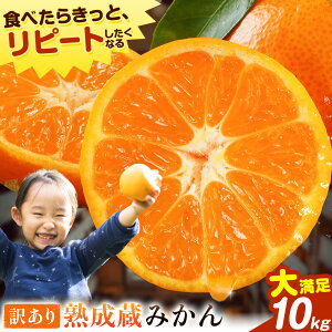 yӂ邳Ɣ[Łz󂠂 n݂ 2.5kg or 4.5kg or 10kg s1{-3{oׁt k ~J  t[c ʕ e   ߉͓