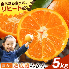 【ふるさと納税】訳あり 熟成みかん 5kg 《1月上旬-3月上旬出荷》徳島 柑橘 ミカン 蜜柑 フルーツ 青果物 大容量 お試し 徳島県 佐那河内村