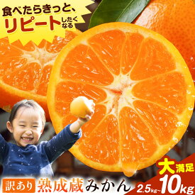 【ふるさと納税】訳あり 熟成みかん 2.5kg or 4.5kg or 10kg 《1月上旬-3月上旬出荷》徳島 柑橘 ミカン 蜜柑 フルーツ 青果物 大容量 お試し 徳島県 佐那河内村